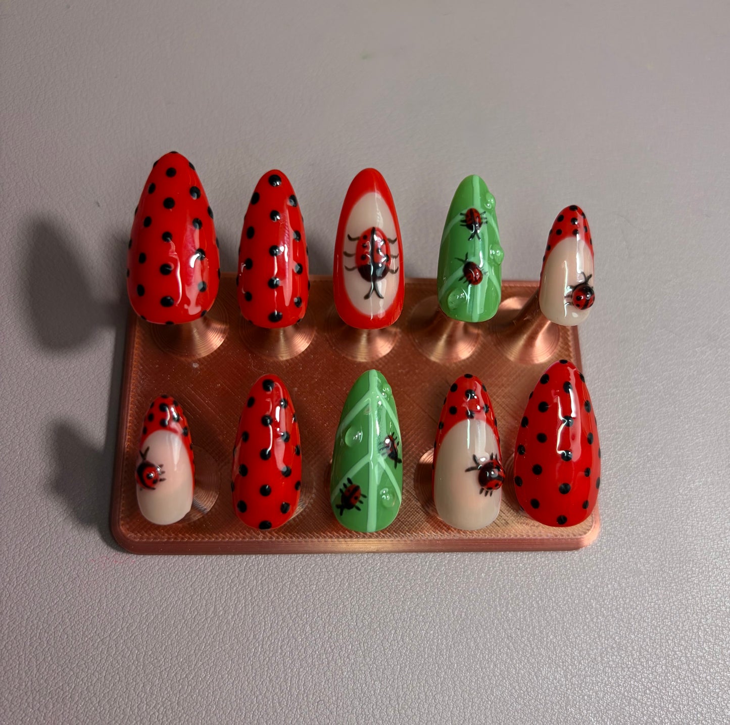 Ladybug