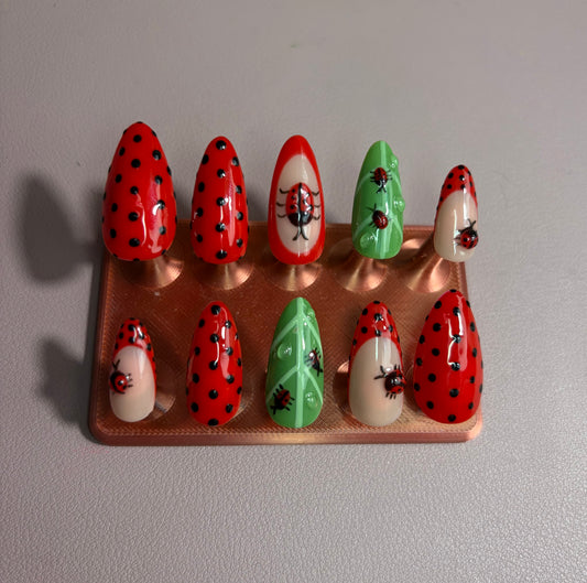 Ladybug